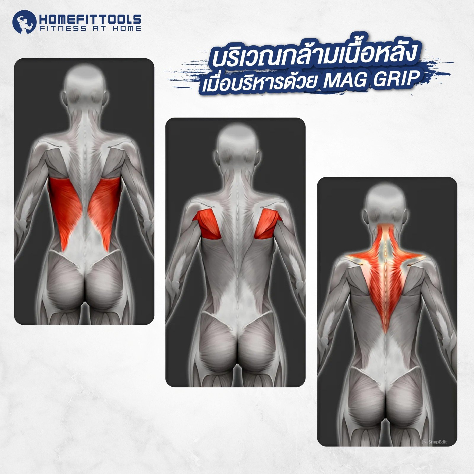 อุปกรณ์เคเบิ้ล CLOSE GRIP HOMEFITTOOLS MAGRIP-7 ขนาด 43CM_4